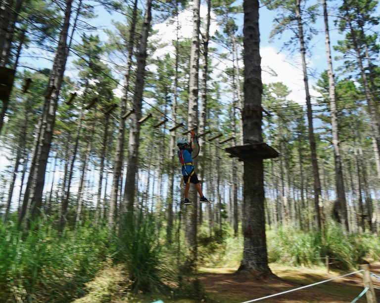 Treetop Adventure Park